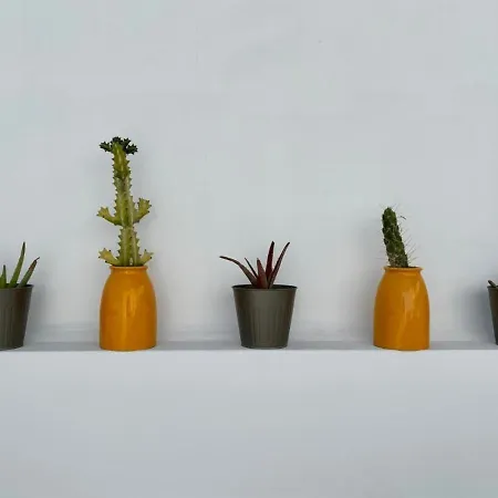 Casamujeres Апартаменты